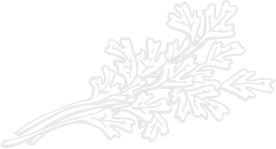 d10.svg